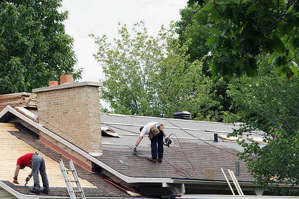 Best Metal Roofing Contractor  in Alcoa, TN